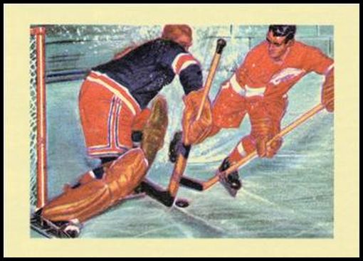 63 Hockey's Hardy Perennials